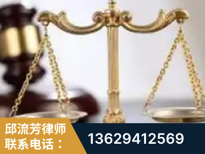 阳江-委托诉讼代理人出庭